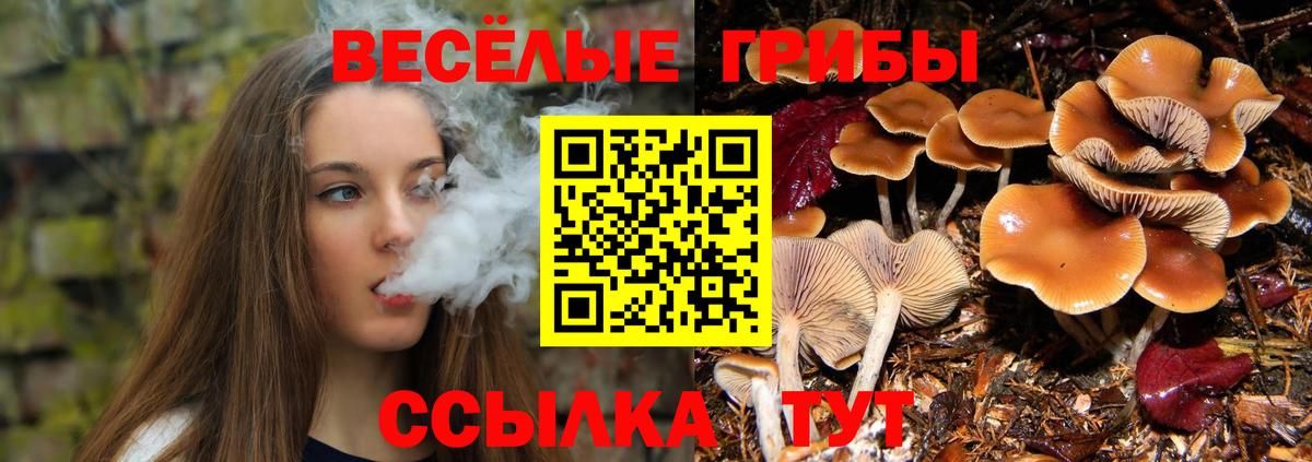 Псилоцибиновые грибы MAGIC MUSHROOMS Губкин